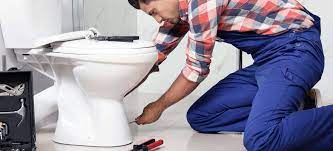 Hiring a Toilet Plumbing Expert